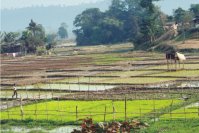 Kolkata with Upstream Cruise Kolkata with Upstream Cruise