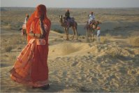 Rajasthan with Jamba Rajasthan with Jamba